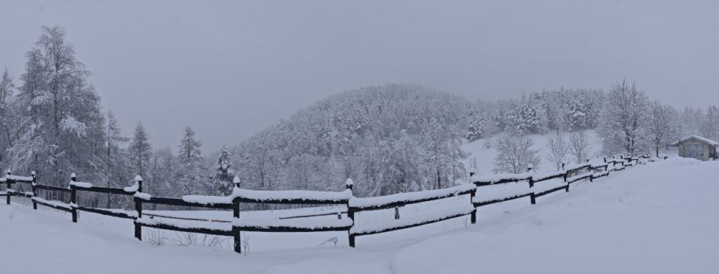neve piemonte
