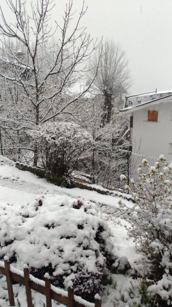 neve piemonte oggi