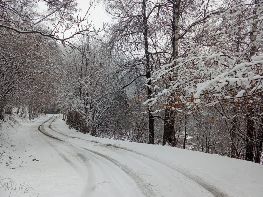 neve piemonte oggi