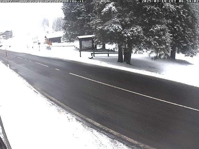 neve trentino oggi