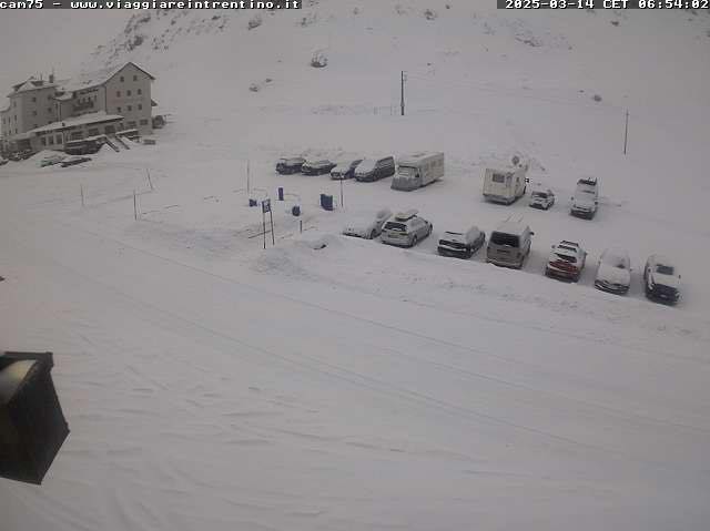 neve trentino oggi