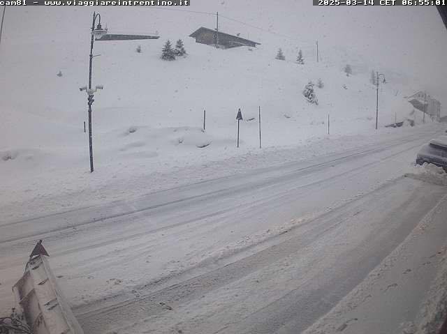 neve trentino oggi