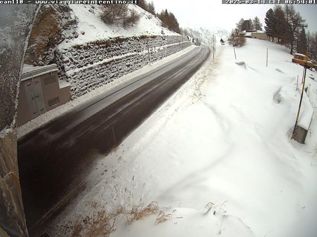 neve trentino oggi