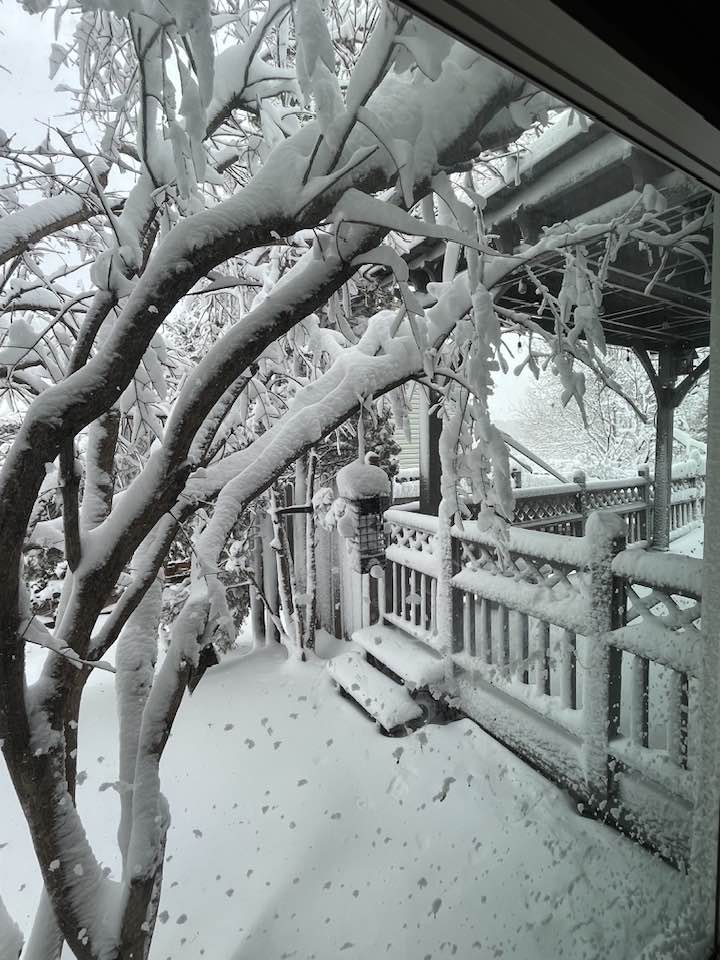 neve usa minnesota