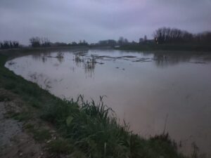 piena lamone maltempo emilia romagna