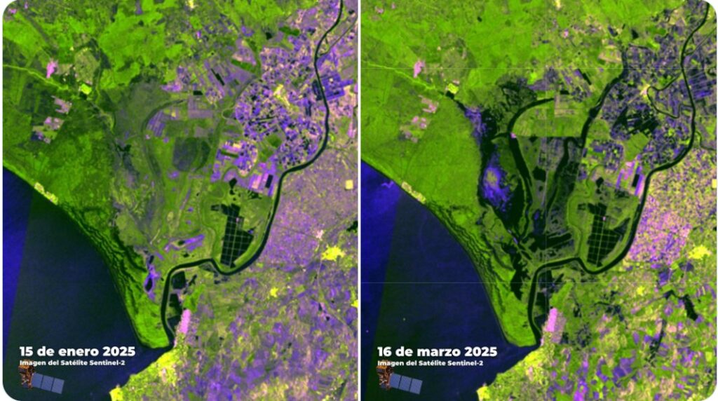 piogge parco Doñana spagna