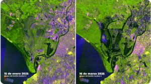 piogge parco Doñana spagna