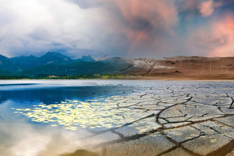 rapporto wmo clima 2024