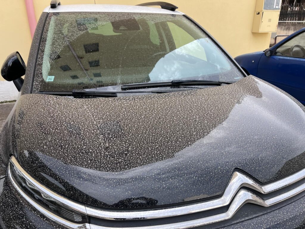sabbia del sahara reggio calabria 24 marzo 2025