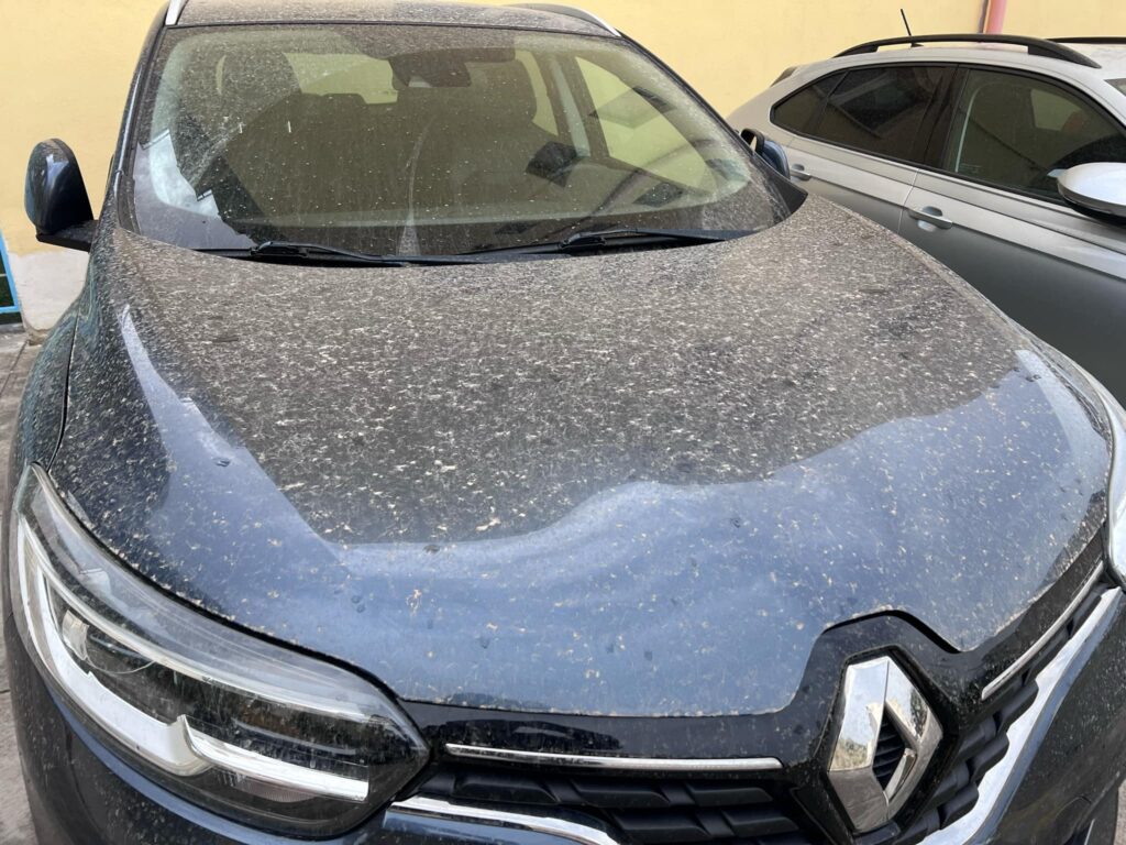 sabbia del sahara reggio calabria 24 marzo 2025