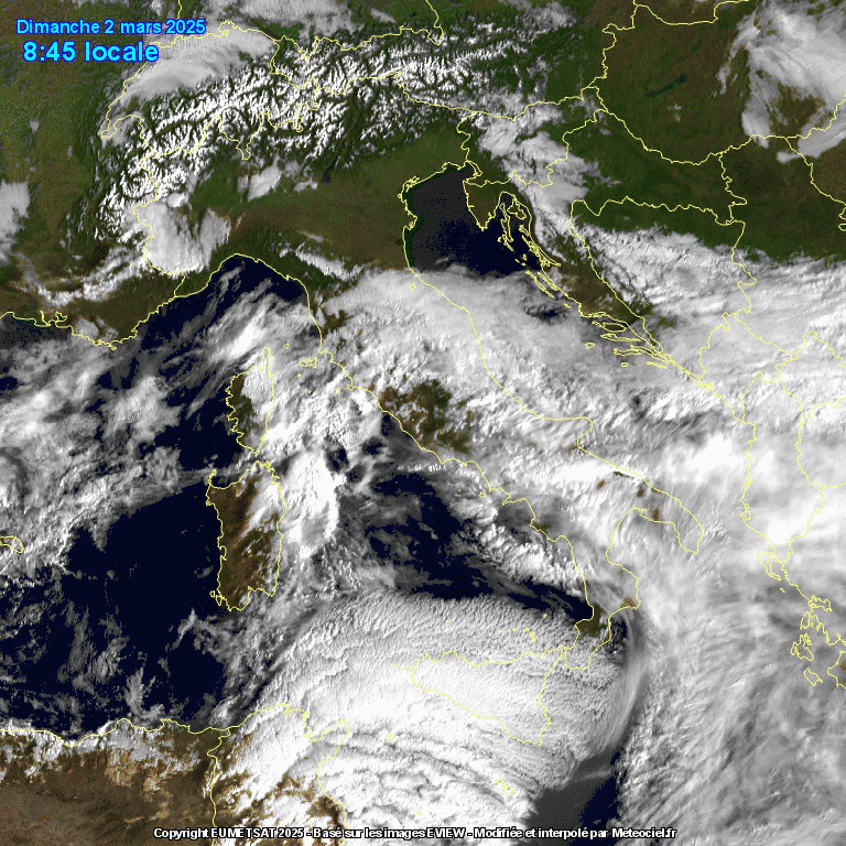 satellite animato oggi