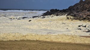 schiuma australia spiagge chiuse