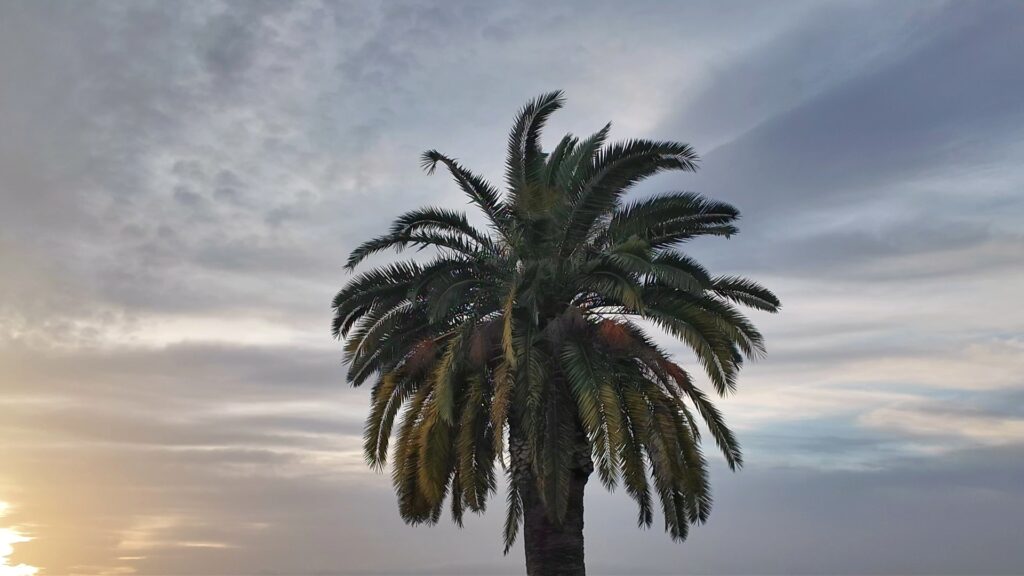 scirocco reggio calabria sabbia sahara