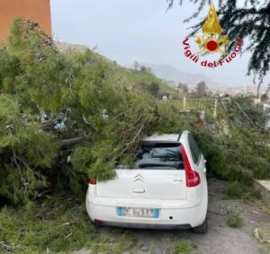 vento palermo