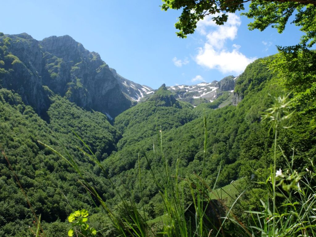 Boschi del Matese