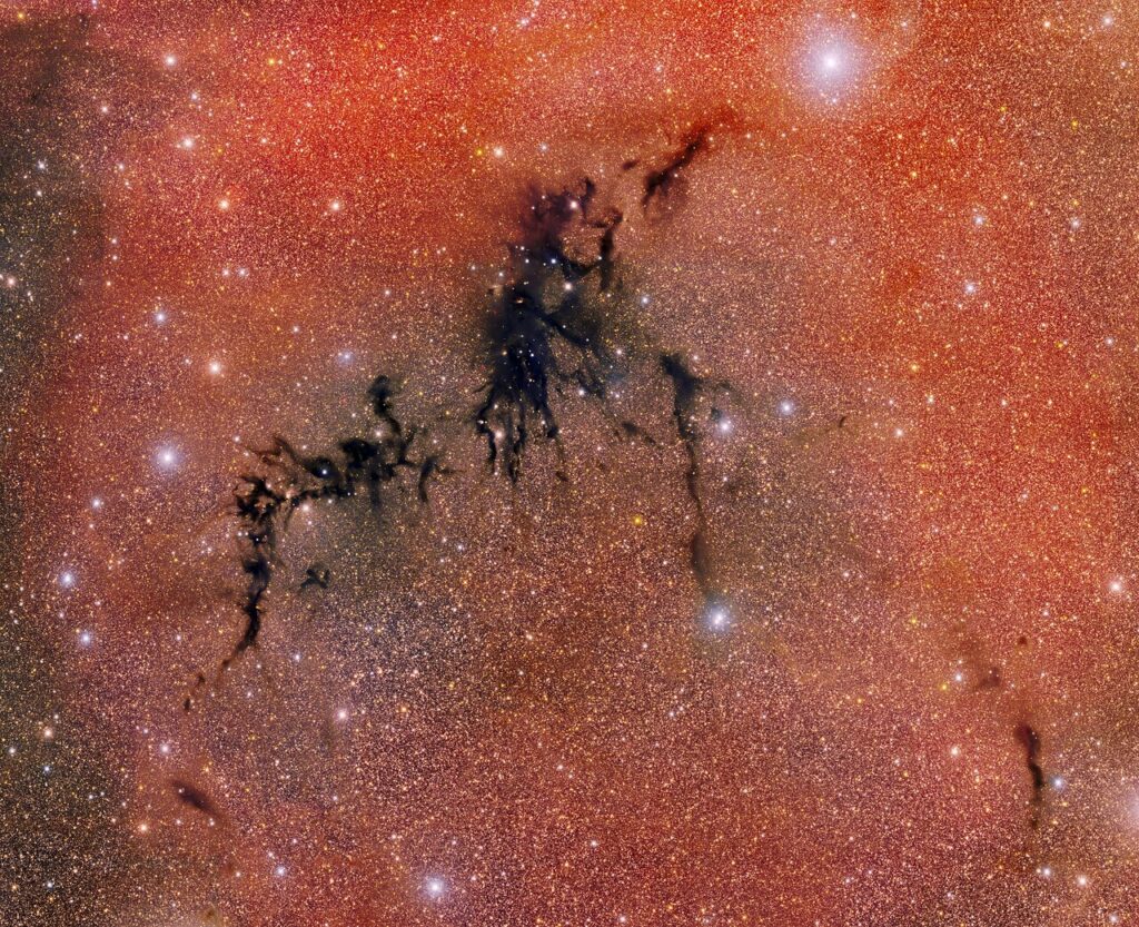 Circinus-West