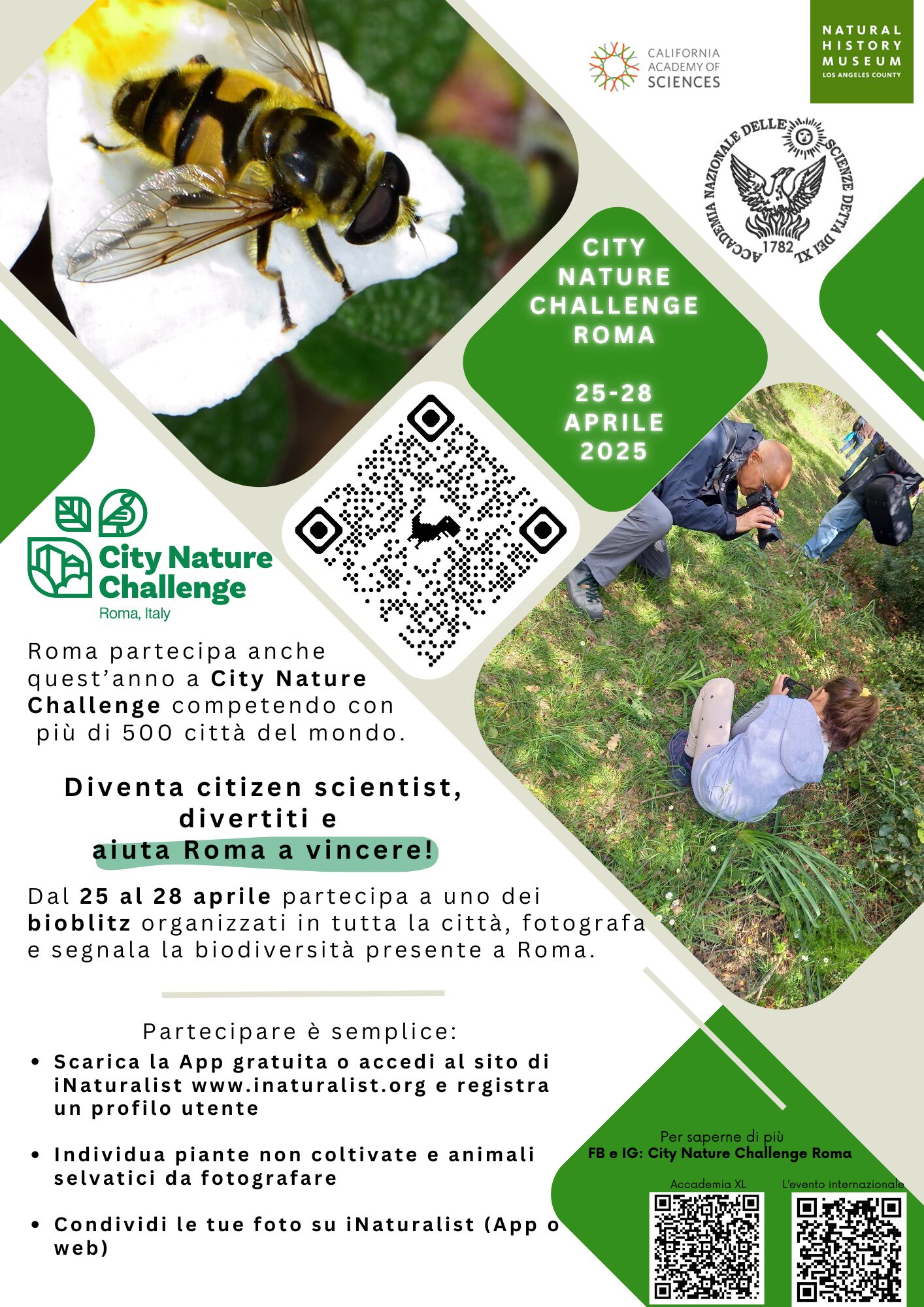 City Nature Challenge
