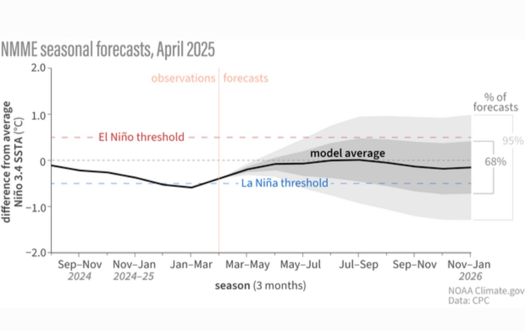 Enso 2025