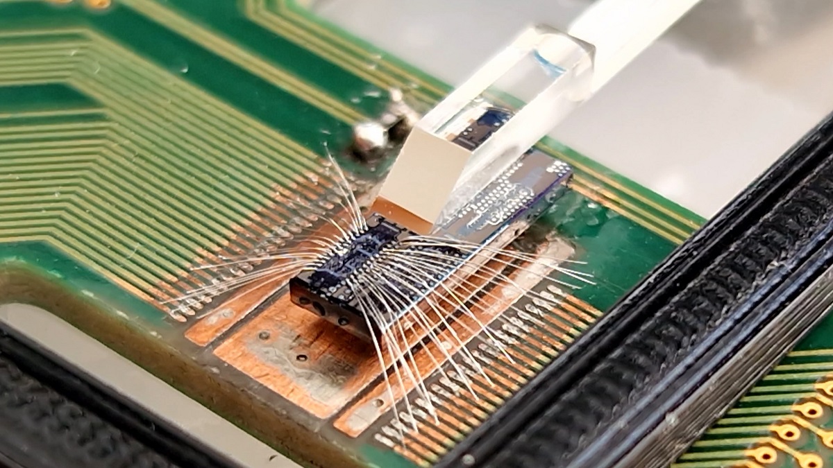 Foto del chip fotonico realizzato