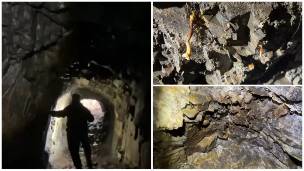 Funghi Miniera del Macariace