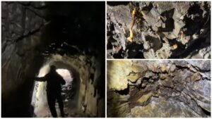 Funghi Miniera del Macariace