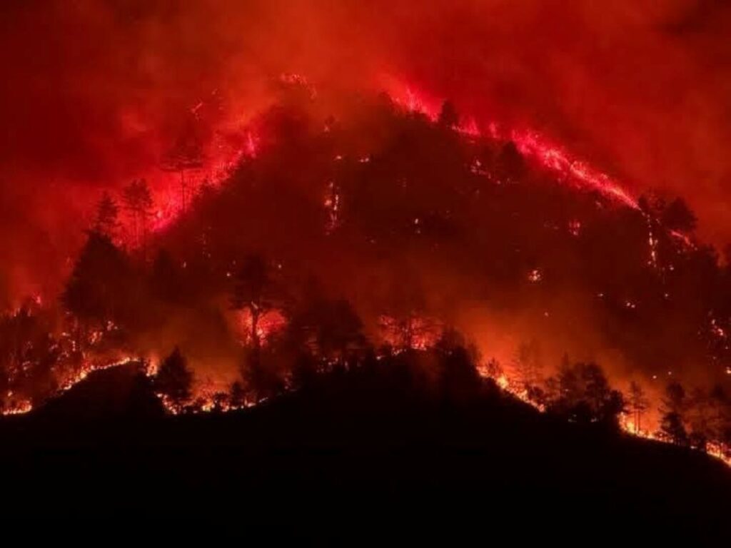 Incendio Dirang