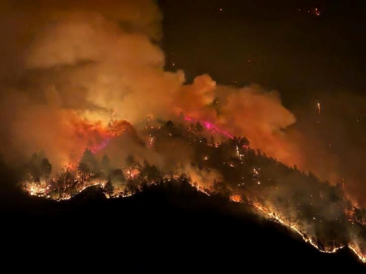 Incendio devastante a Dirang: fiamme incontrollate, mobilitate forze di emergenza e volontari | FOTO e VIDEO