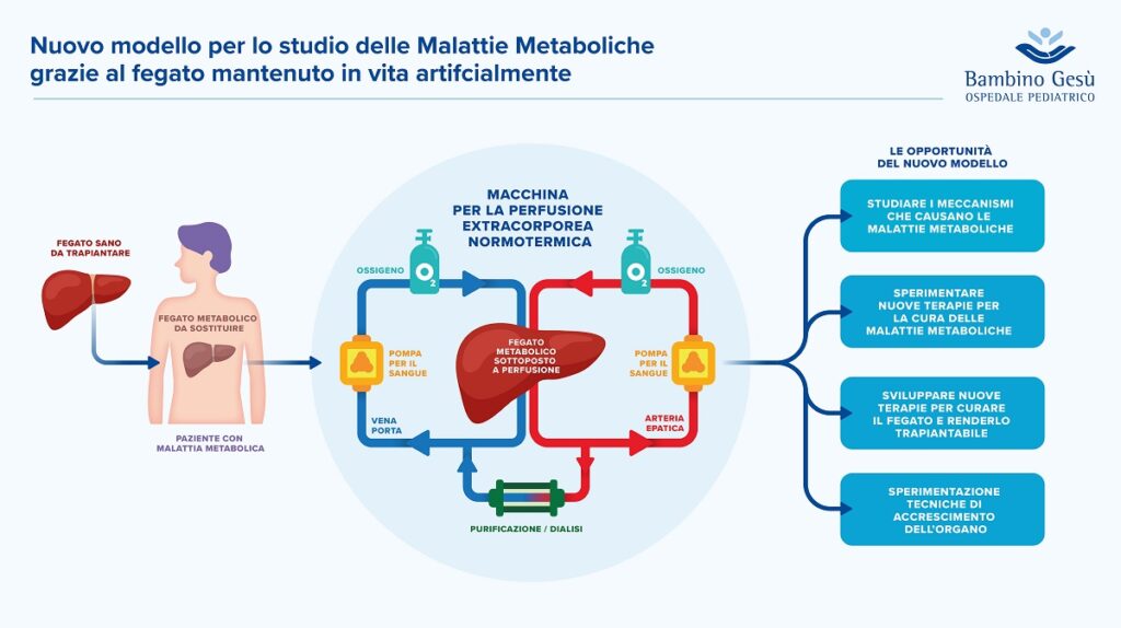 malattie metaboliche fegato