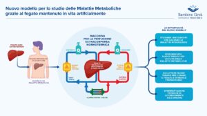 malattie metaboliche fegato
