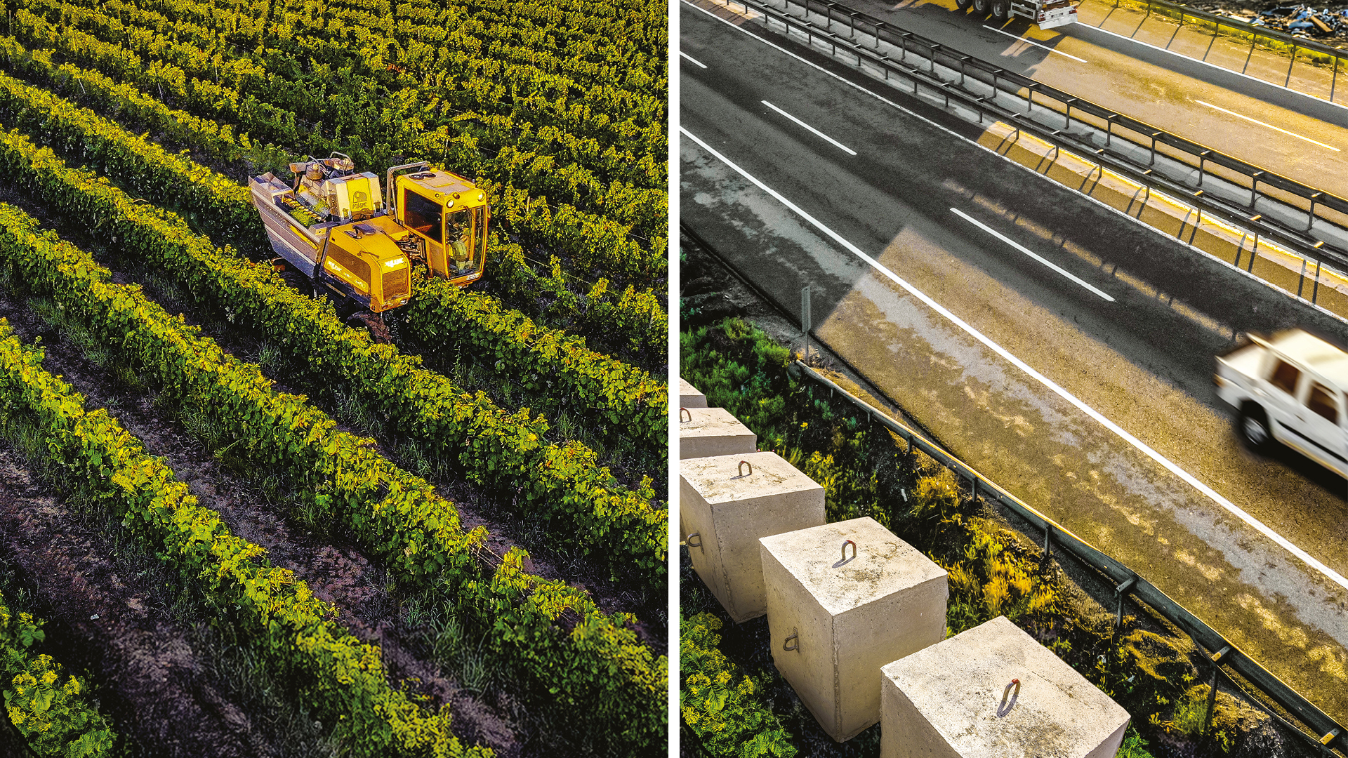 Italia senza vigneti
