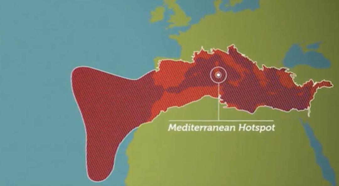 Mediterraneo tropicale