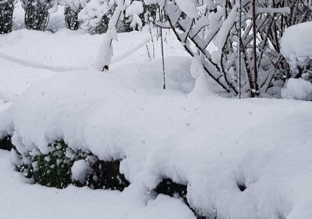 Neve Romania 6 aprile