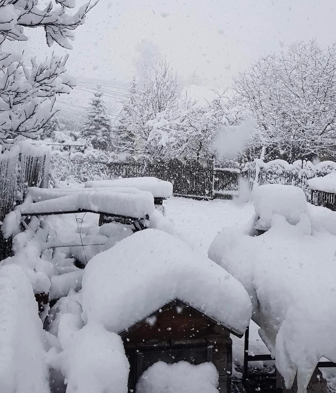 Neve Romania 6 aprile