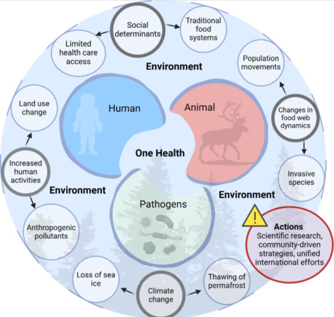 Virus e clima moderno