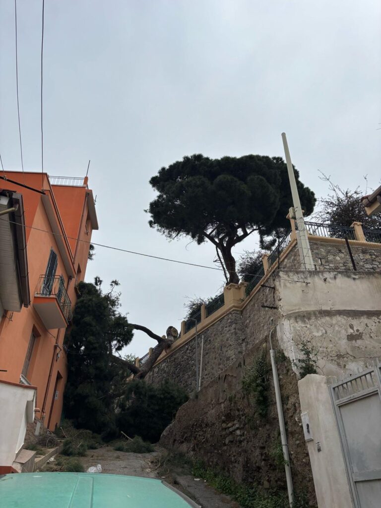 albero crollato reggio calabria