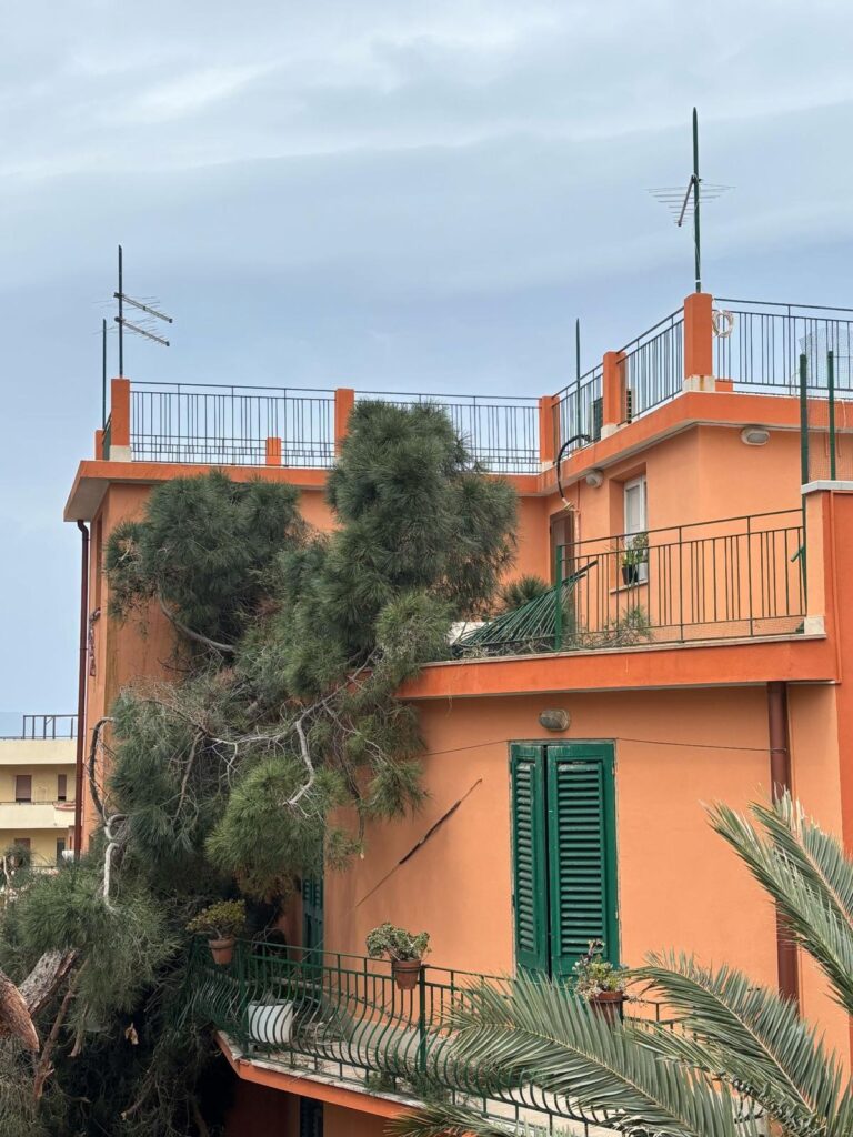 albero crollato reggio calabria