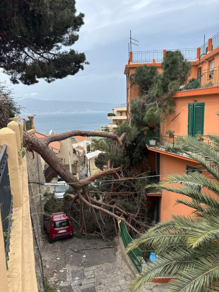 albero crollato reggio calabria