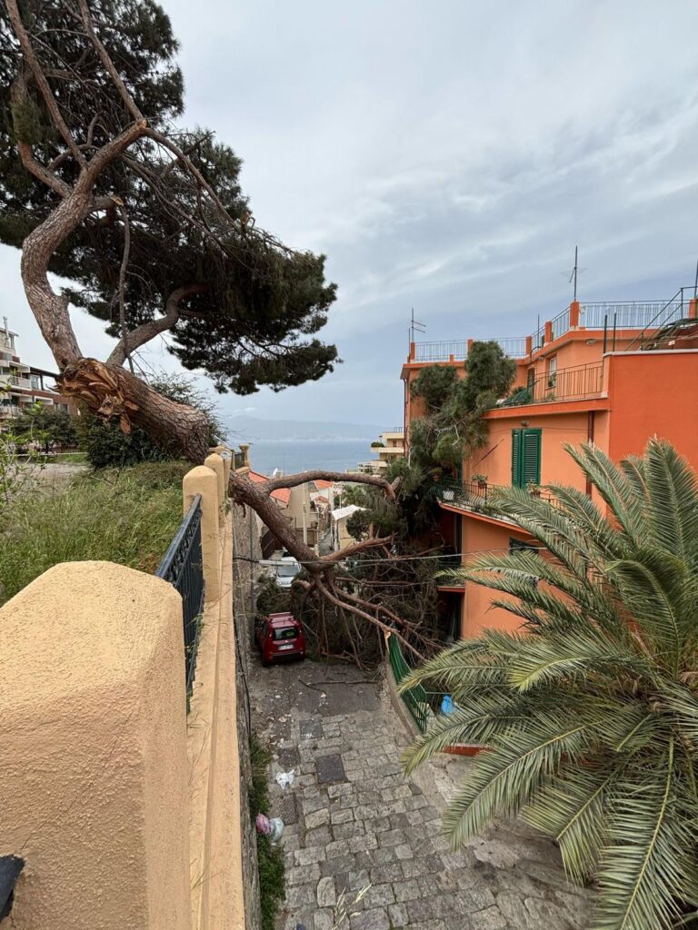 albero crollato reggio calabria