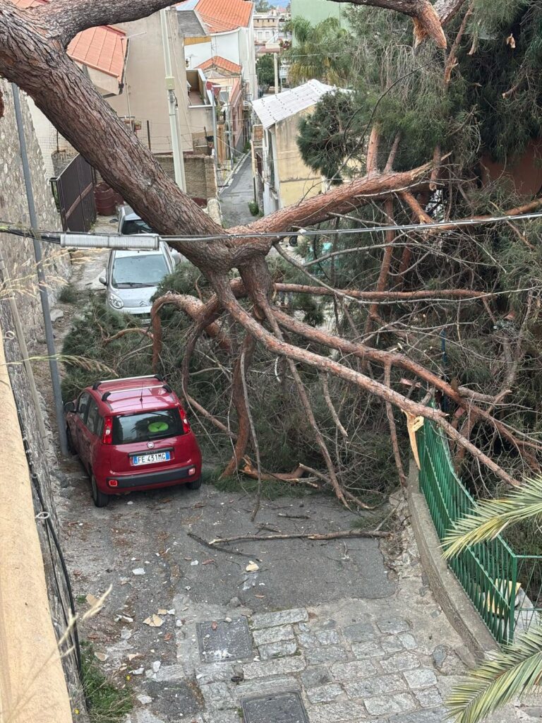 albero crollato reggio calabria