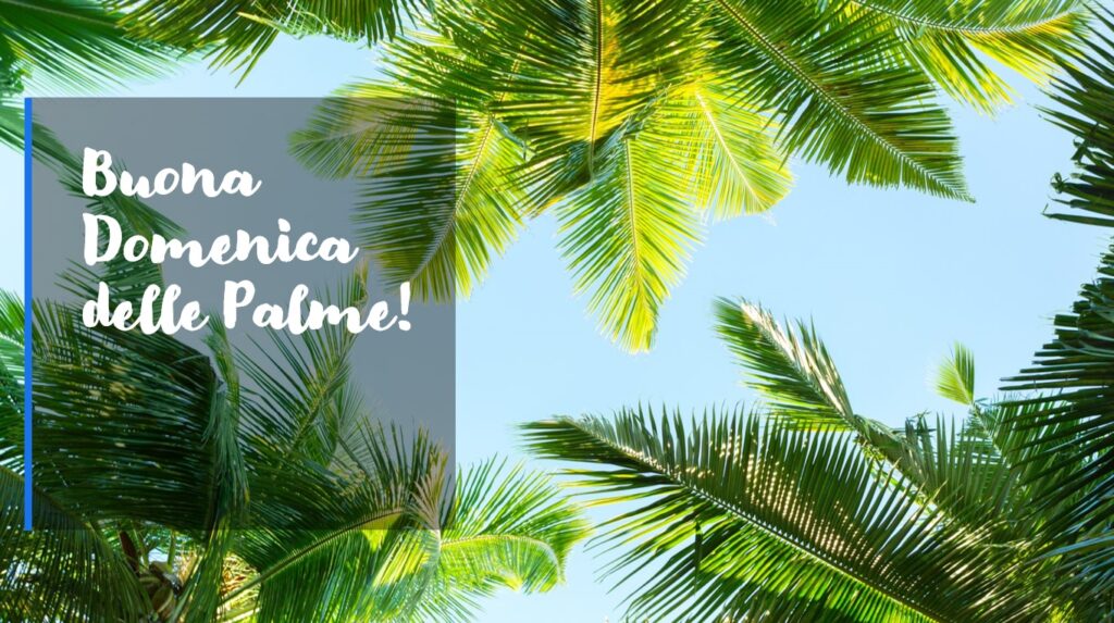 auguri buona domenica delle palme