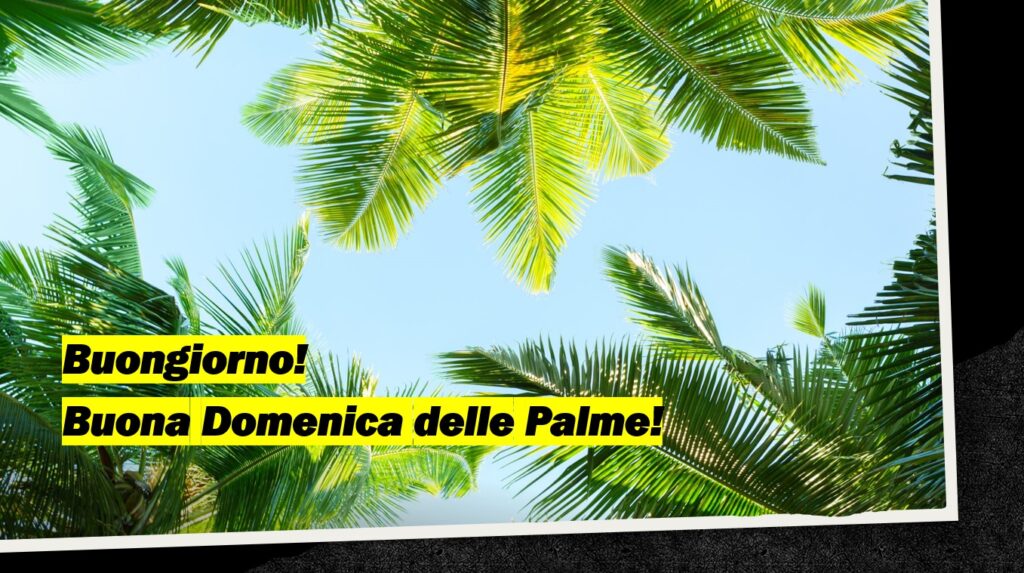buongiorno buona domenica delle palme (1)