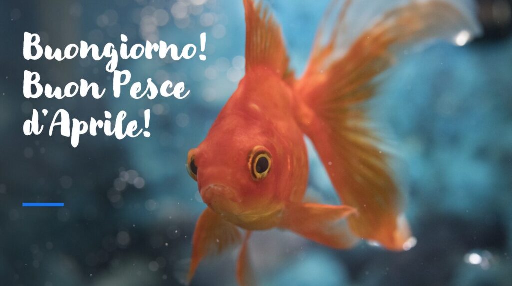 buongiorno buon pesce d'aprile 2025