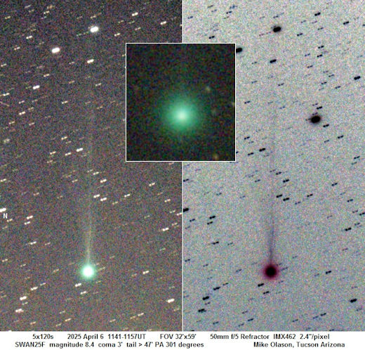 cometa SWAN25F