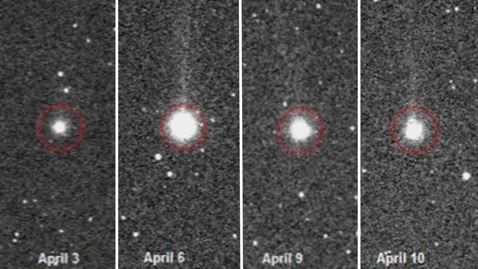 Brillante getto di ghiaccio dalla Cometa SWAN: criovulcano in azione?
