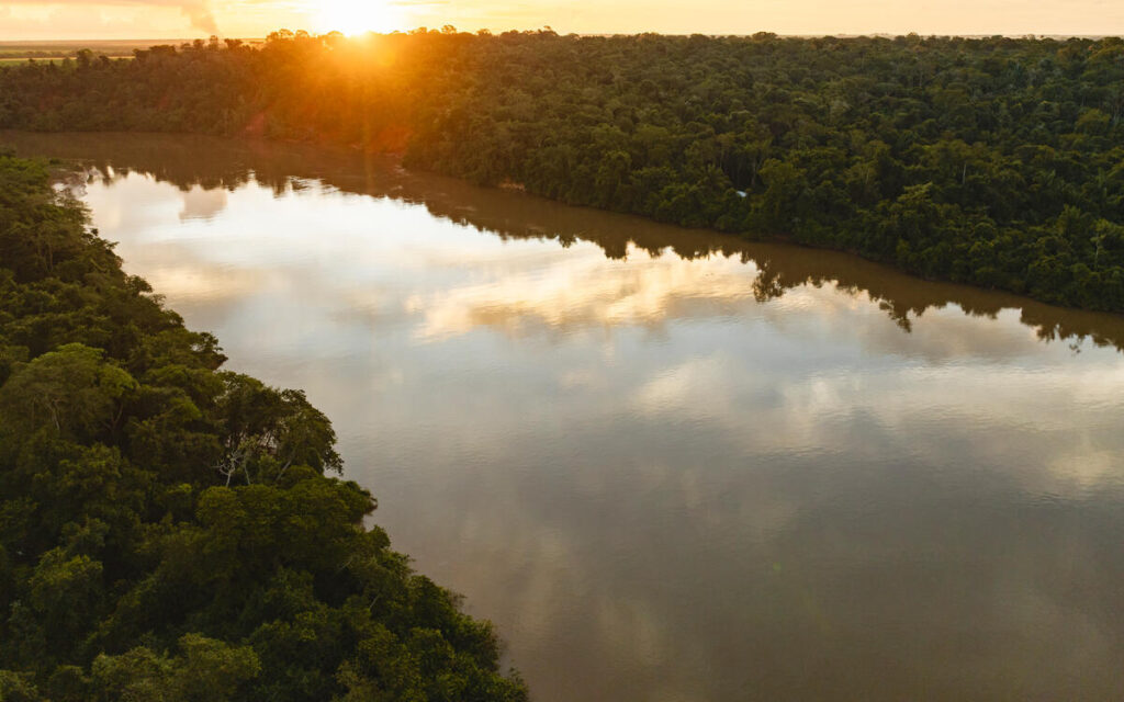 estrazione illegale oro amazzonia