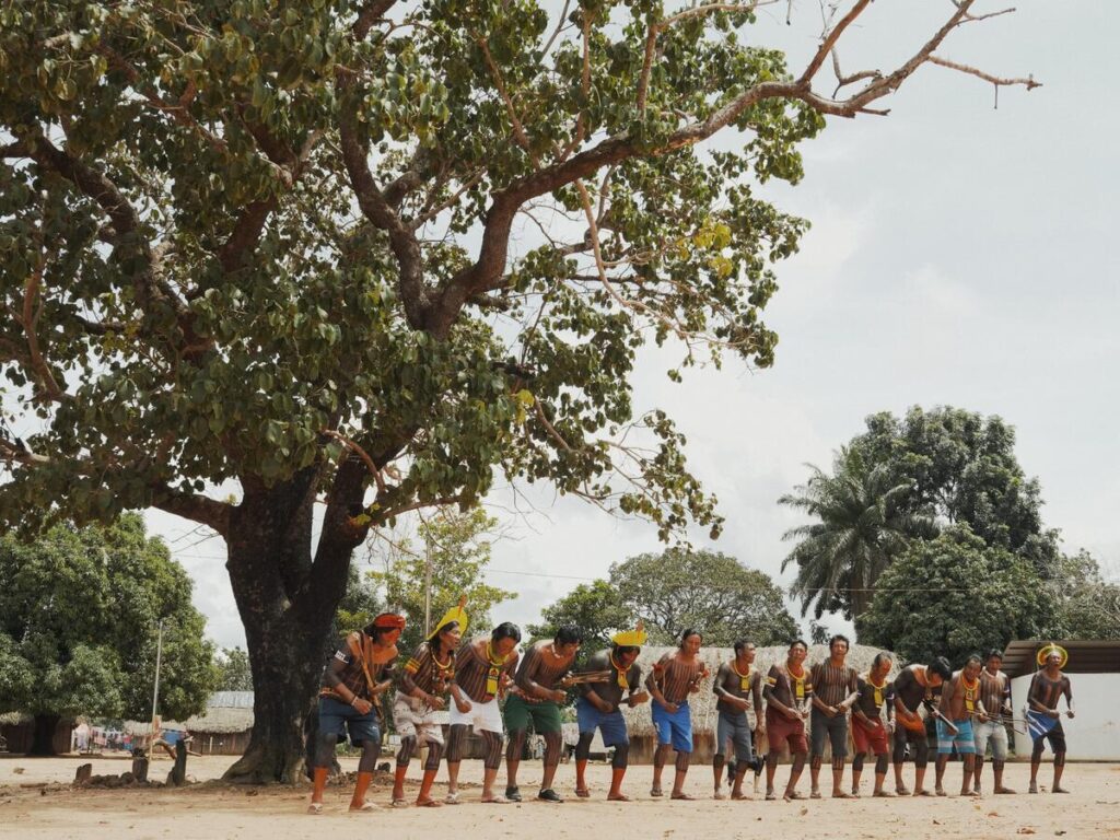 estrazione illegale oro amazzonia