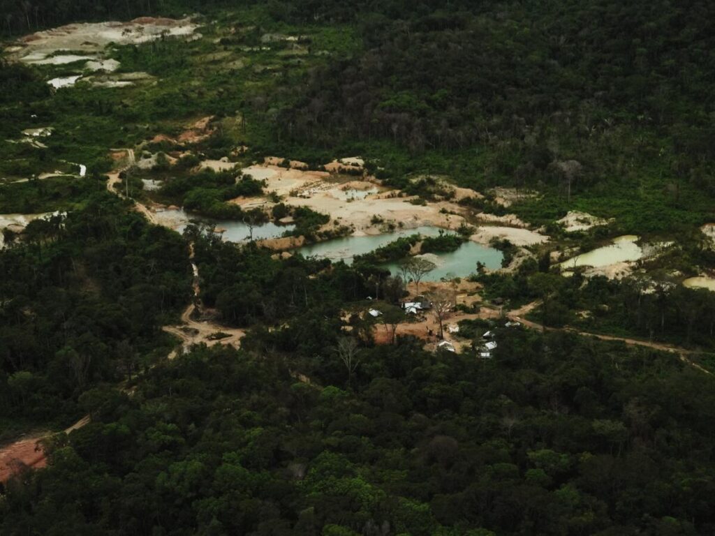 estrazione illegale oro amazzonia