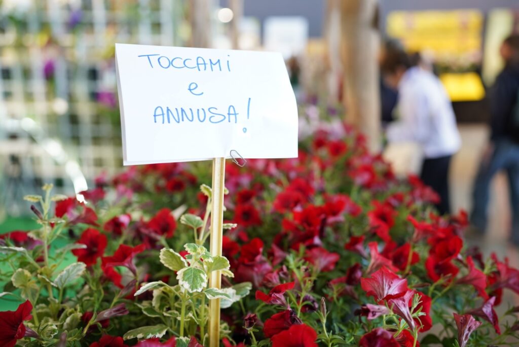 euroflora 2025