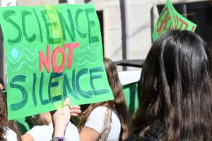 fridays for future