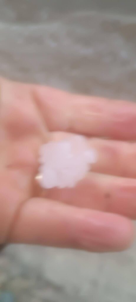 grandine melicucco calabria